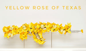 Yellow Rose of Texas